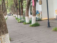 -白马涧龙池景区