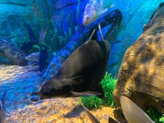 -沈阳海洋探索中心