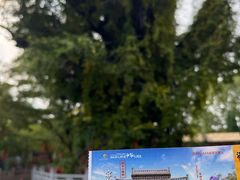 -大槐树寻根祭祖园