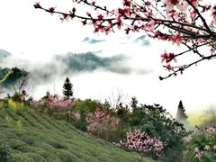 -羡餐厅·杭帮菜·淳菜(千岛湖自由洲际殿店)