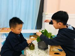 -金点蒙氏国际教育(悠然校区)