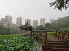 -龙头寺公园