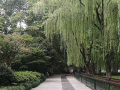 -柳浪闻莺公园
