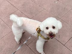 -芭比堂动物医院广州顽皮分院