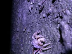 -北海金海湾红树林生态旅游区