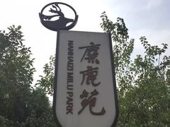 -北京麋鹿生态实验中心