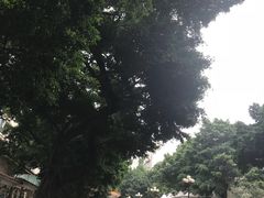 -广州市第一人民医院(院本部)