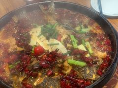 -老板恋上鱼(恒隆广场店)