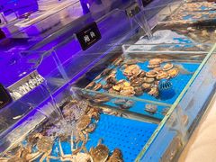 -加餐海鲜自助(宝龙一城店)