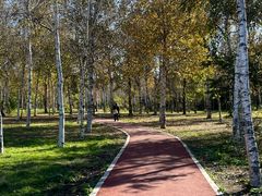 -长春市南湖公园