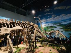 -自贡恐龙博物馆
