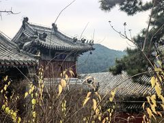 -潭柘寺景区