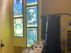 -谜盒子奇幻密室(南屏店)