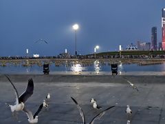-东港音乐喷泉广场