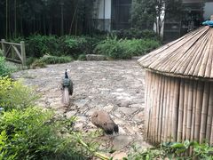 -苏州环秀晓筑养生度假村