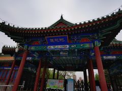 -莲花池公园