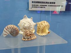 -西安曲江海洋极地公园
