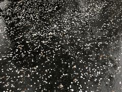 -星巴克(西湖天地店)