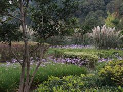 -贵阳市花溪国家城市湿地公园