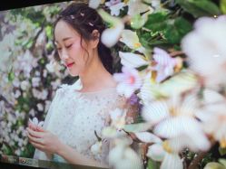 点击看大图 -鱼映像摄影·珍藏级影像品牌