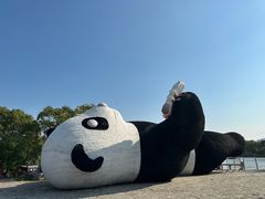 -苏州太湖国家湿地公园