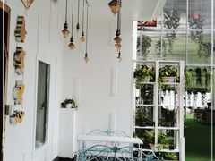 -印象泰和园(望丛西路店)