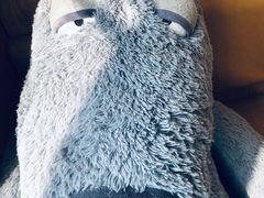 -Blueglass酸奶(财富购物中心店)