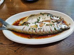 -老马家·舌尖上的西塘美食