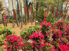 -石家庄市植物园