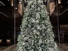 -OZONE 顶楼酒吧(香港丽思卡尔顿酒店)