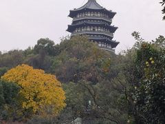 -浙江西子宾馆·牡丹厅