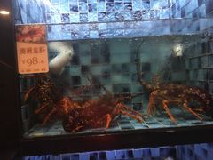 -官也街澳门火锅(新源里店)