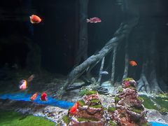 -秦皇岛新澳海底世界