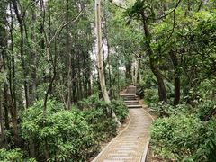 -深圳国际园林花卉博览园