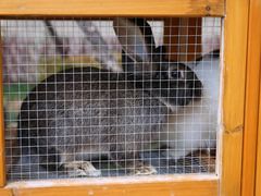 -沈阳市大东区海蓝花语幼儿园