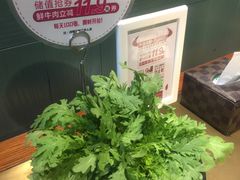 -手选潮汕鲜活牛肉火锅(二七广场店)