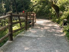 -少华山国家森林公园