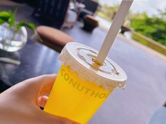 -三亚国光豪生度假酒店-椰语堂清补凉(国光豪生店)