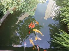 -上海虹桥宾馆味翠餐厅