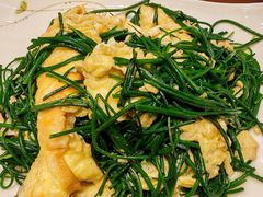 -靖远尕六美味羊羔肉