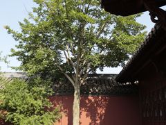 -钱王祠