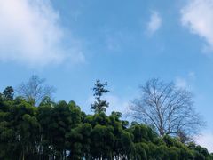 -莫干山风景区