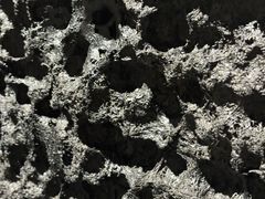 -上海油画雕塑院