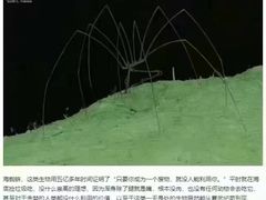 -国家会议中心大酒店