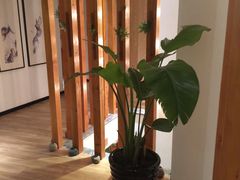 -麦子MaiMassage(打浦桥店)