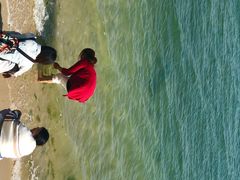 -北海金海湾红树林生态旅游区