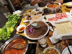 东道煮毛肚-东道煮火锅(新城东路店)