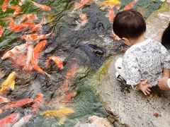 -青岛鑫江温德姆酒店