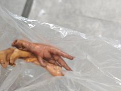 -聂记粤菜馆(鼓西路店)