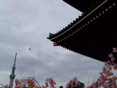 -浅草寺